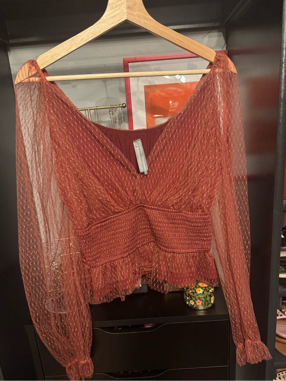 Anthropologie Burnt Sienna Sheer V-Neck Romantic Puff Sleeve Blouse π₯π€ - Picture 6 of 7
